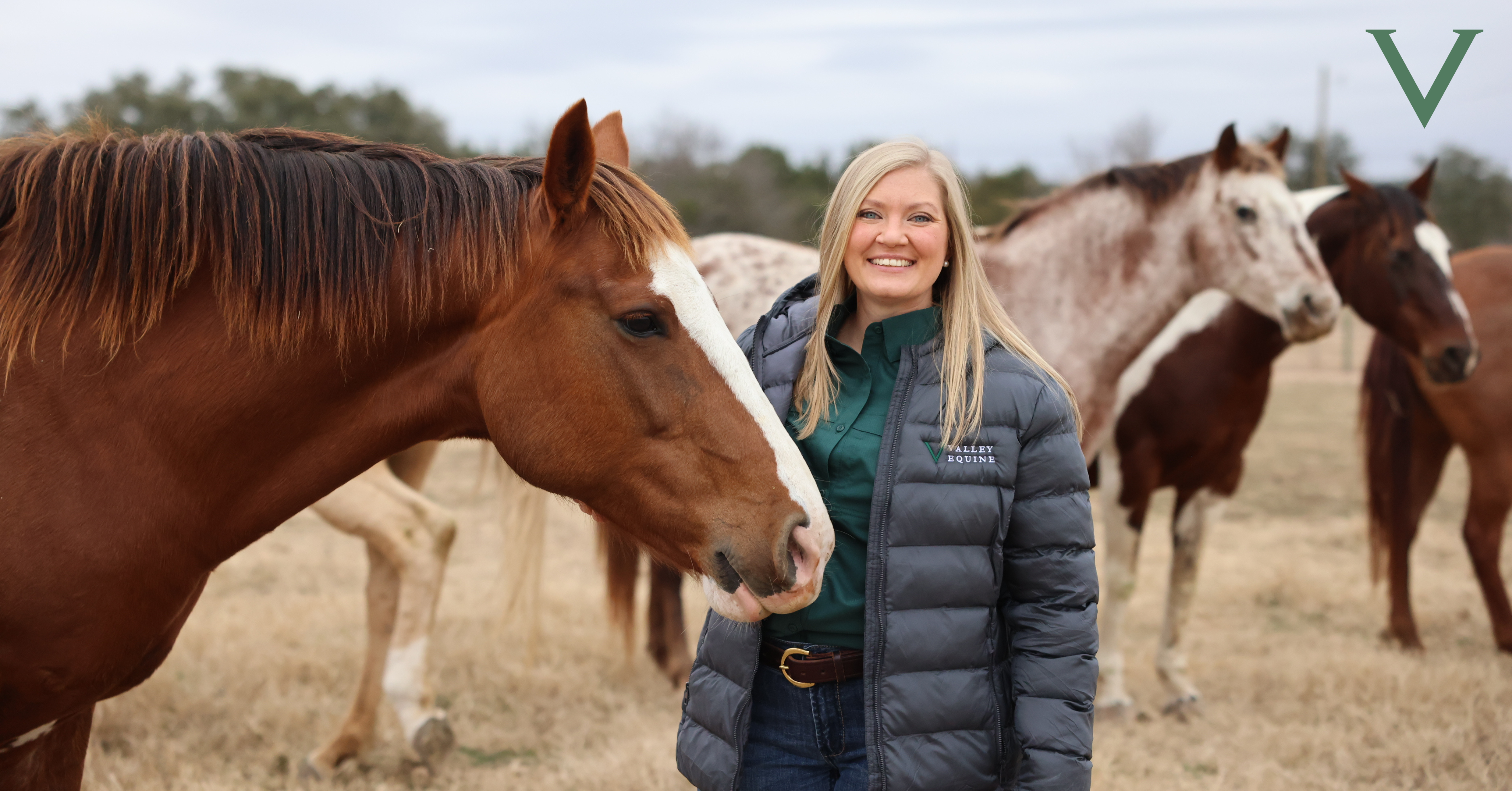 Valley Equine Welcomes Veterinarian to Expand Services