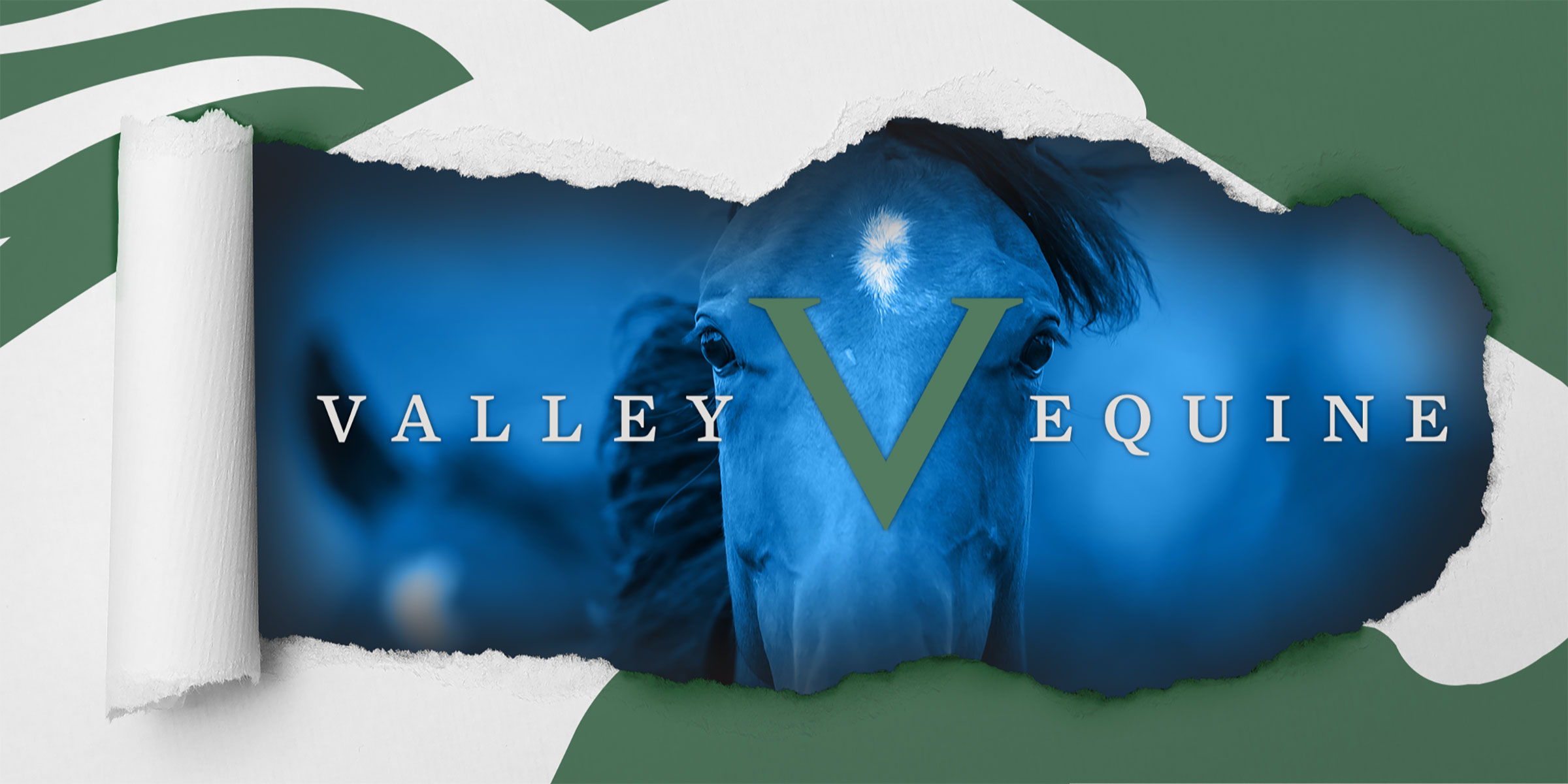 Brazos Valley Stallion Station’s Transformation to Valley Equine Reproduction, Redefining Role in Breeding Industry