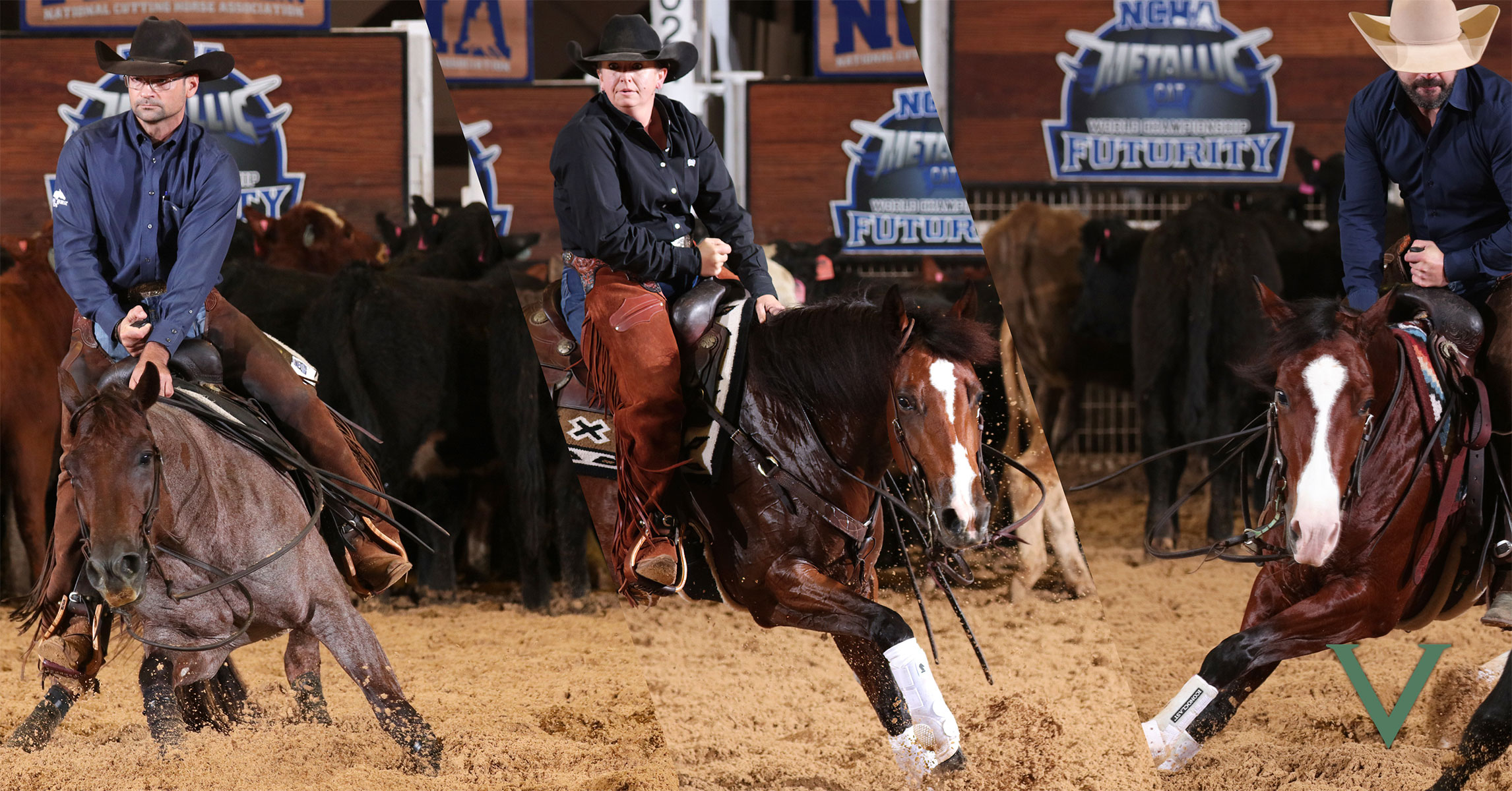 Valley Equine Stallions Sweep 2024 NCHA Futurity — Siring Every Champion